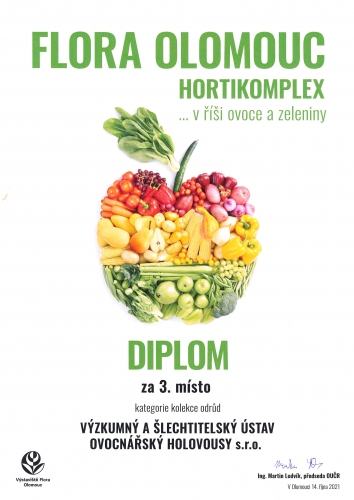Podzimní Flora Olomouc    ... v říši ovoce a zeleniny