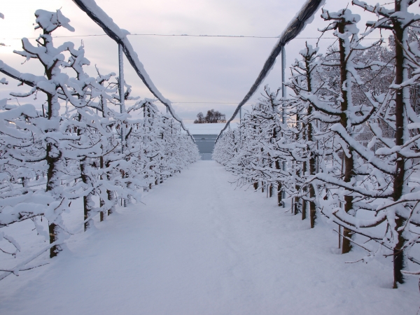 1. Demonstrační farma VŠÚO v roce 2026