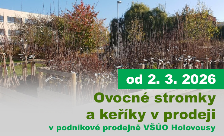 Prodej stromků jaro 2026